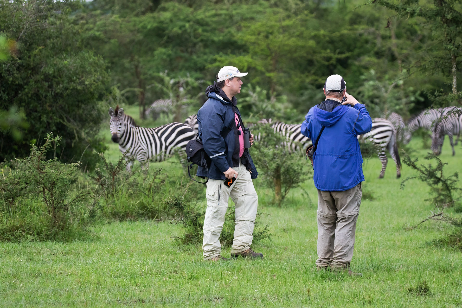 Uganda Birding Safari