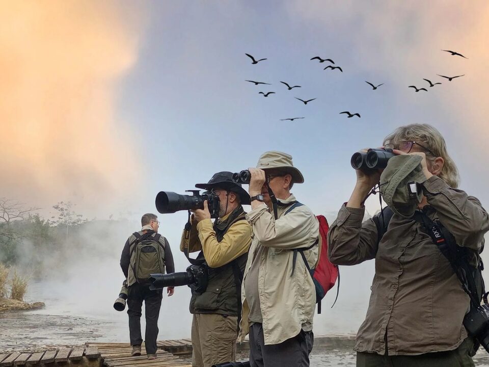 combining-uganda-birding-safari-with-big-five-safari